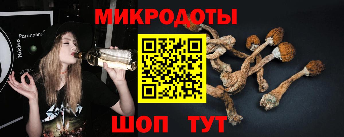 Псилоцибиновые грибы мицелий Лыткарино